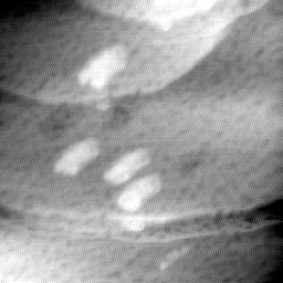 09022020BH