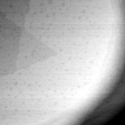 09102019AT