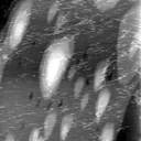10050500AE
