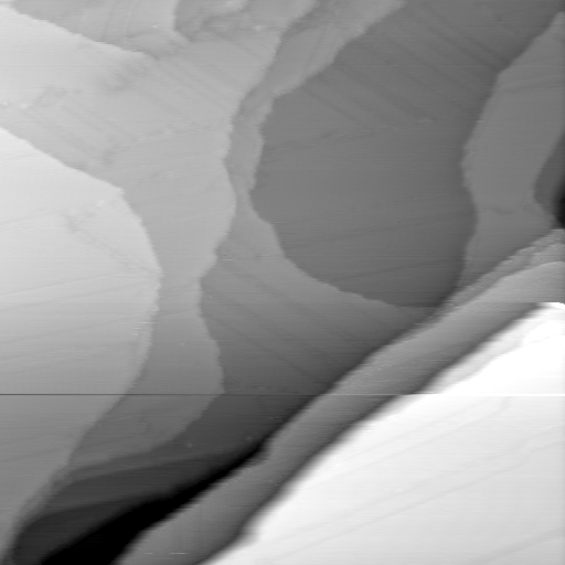 10260900BN
