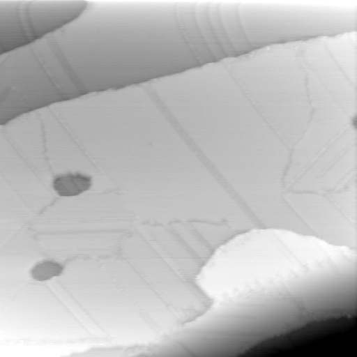 10260900BW
