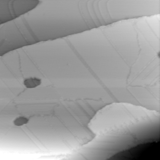 10260900BW