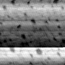 AB062702