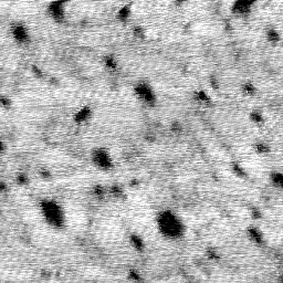 AB062702