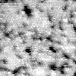 AE011504