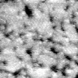 AE011504