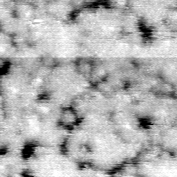 AF011504