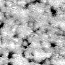 AF011504