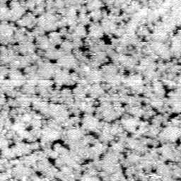 AG011504