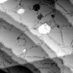 AG081103