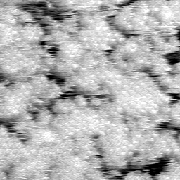AK011504