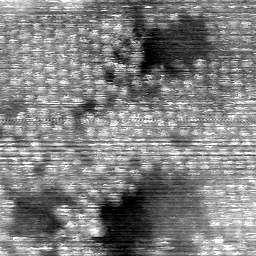 AL082603