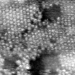 AL082603