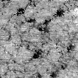 AO082603