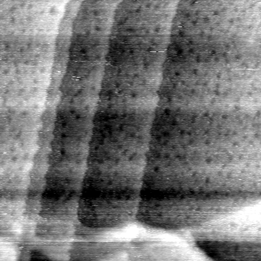 AO101502