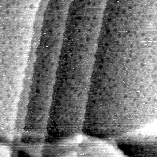 AO101502