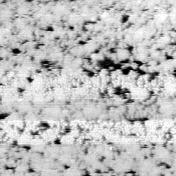 AP011504