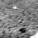 AQ011504