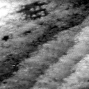 AR011504