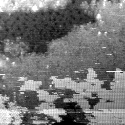 BF081403