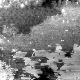 BF081403