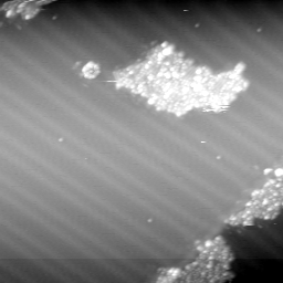 m10620_ori
