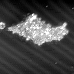 m10621_ori