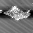 m10621_ori