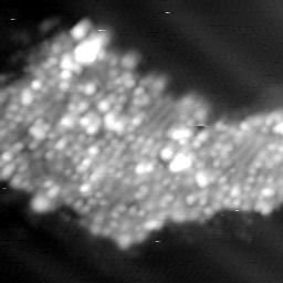 m10622_ori
