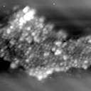 m10622_ori
