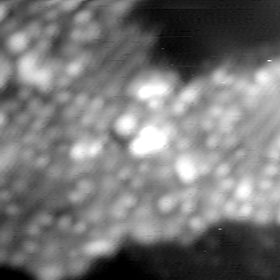 m10623_ori