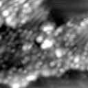 m10623_ori