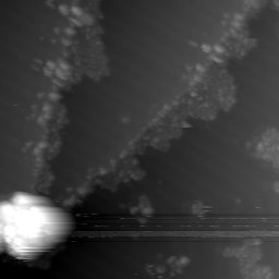 m10624_ori