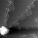 m10624_ori