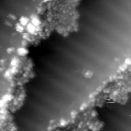 m10625_ori
