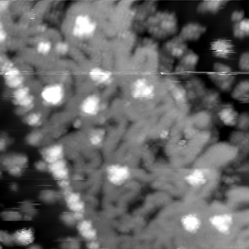 m10628_ori