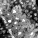 m10630_ori