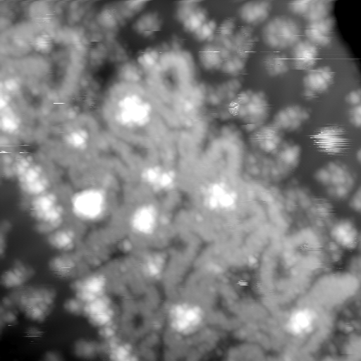 m10631_ori