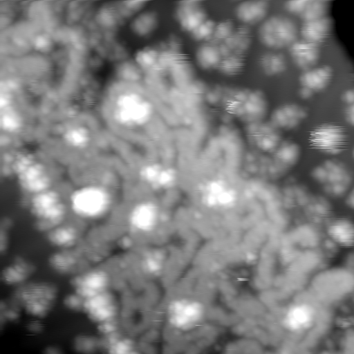 m10632_ori