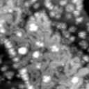 m10632_ori