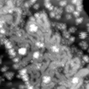 m10633_ori