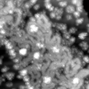 m10634_ori