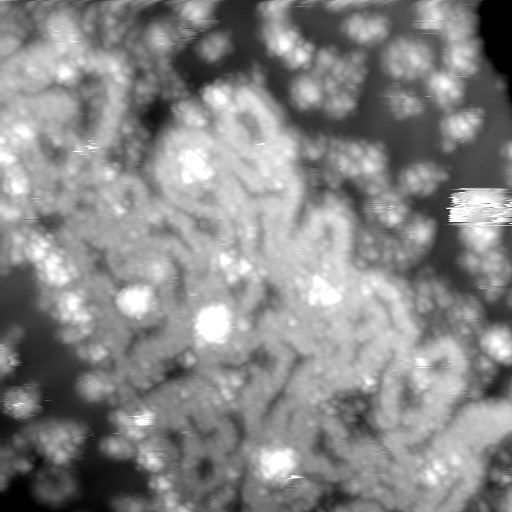 m10635_ori