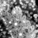 m10635_ori