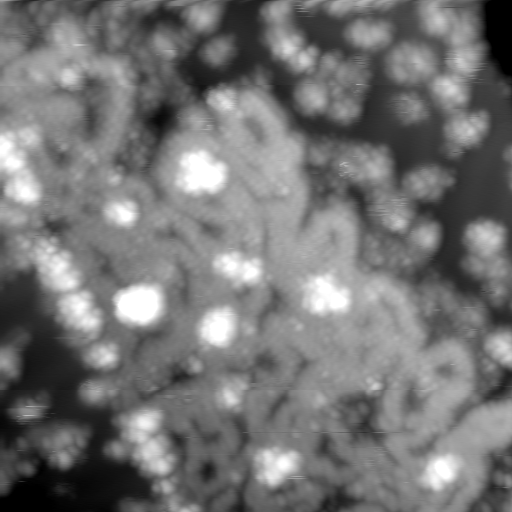 m10636_ori