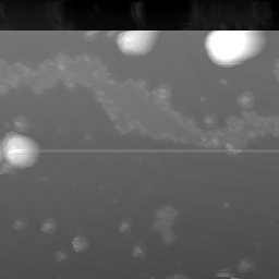 m10641_ori