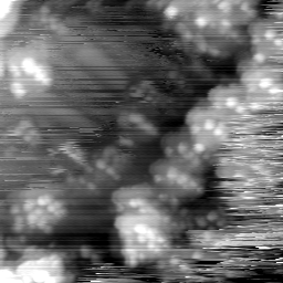 m10644_ori