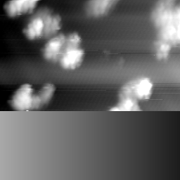 m10771_ori