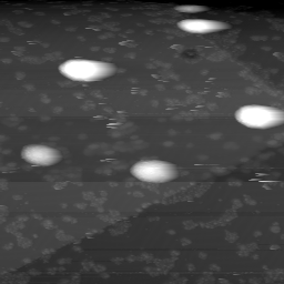 m10774_ori