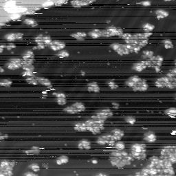 m10775_ori